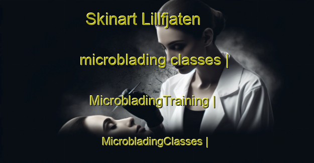 Skinart Lillfjaten microblading classes | MicrobladingTraining | MicrobladingClasses | SkinartTraining-Sweden